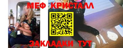 амф Кингисепп