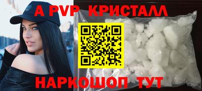 амф Кингисепп