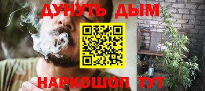 амф Кингисепп
