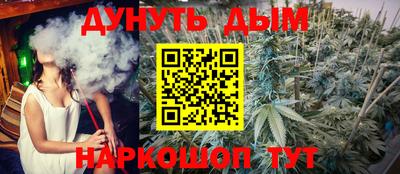 амф Кингисепп