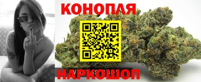 амф Кингисепп