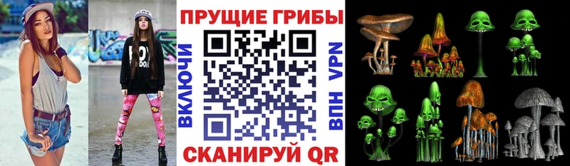 Галлюциногенные грибы мицелий  дарнет шоп  Курганинск 