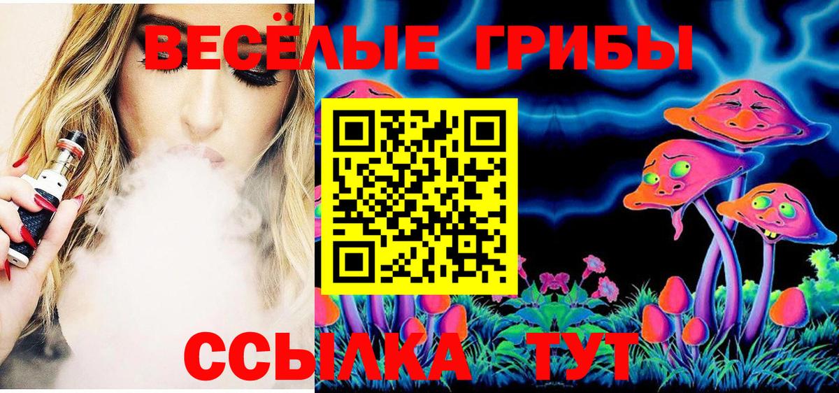 Галлюциногенные грибы Psilocybe Курганинск