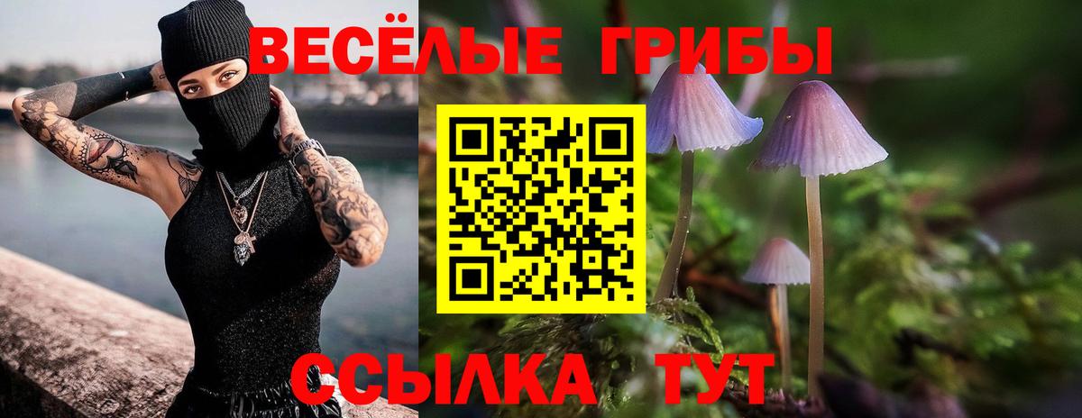 Галлюциногенные грибы Psilocybine cubensis  Псилоцибиновые грибы мицелий  Курганинск  Вход с VPN 