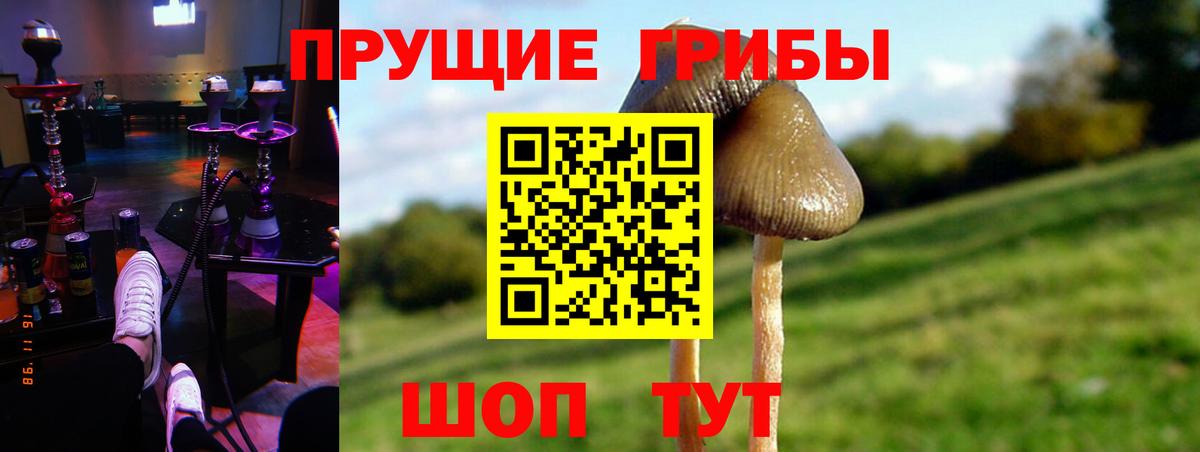 Курганинск  Марихуана  МЕФ кристаллы  Вход с VPN  Гашиш  COCAIN 